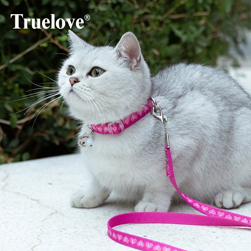 True Love Pembe Kedi Boyun Tasması